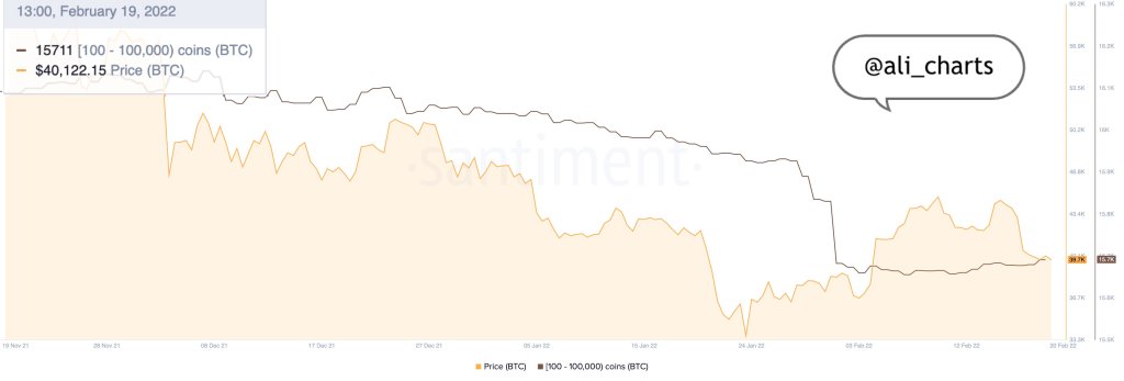 BTC Piyasası: İşte Bitcoin İçin İzlemeniz Gereken Yeşil ve Kırmızı Sinyaller! 2