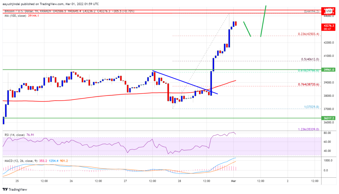 BTC Piyasası: Bitcoin (BTC) Fiyat Tahlili: Büyük Bir Yükseliş Yaşadı, Sırada Ne Var? – 1 Mart 2022 1