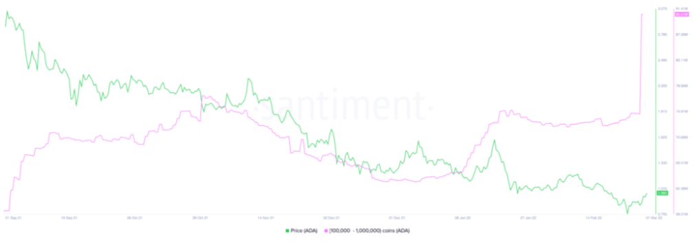 BTC Piyasası: Bu Altcoin, Balina Çılgınlığının Akabinde Selloff Görebilir! 1