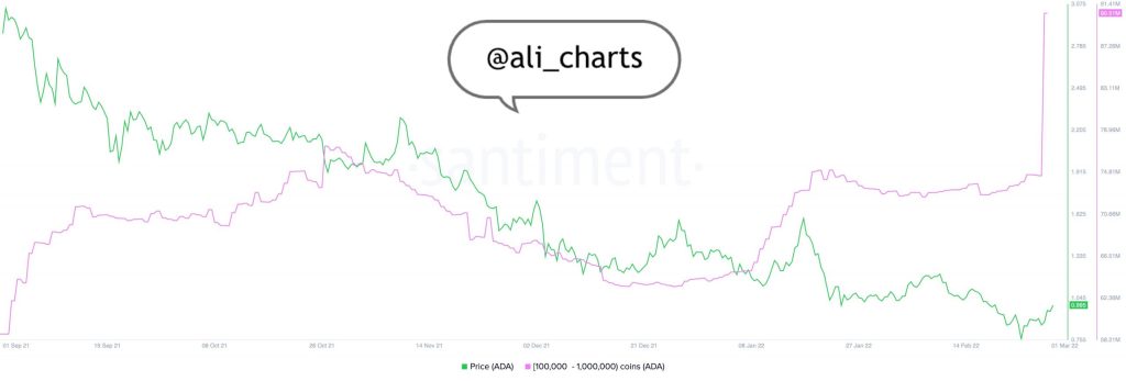 Ulaş Utku Bozdoğan: SHIB, BTC Değil: Balinalar Düşüşte Bu Altcoin’den Topluyor! 1