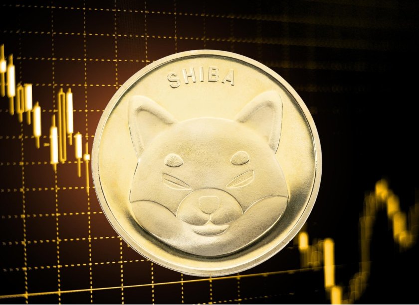 BTC Piyasası: Shiba Inu Yatırımcılarına Müjde: Devleri Geçip 1 Numara Oldu! 1