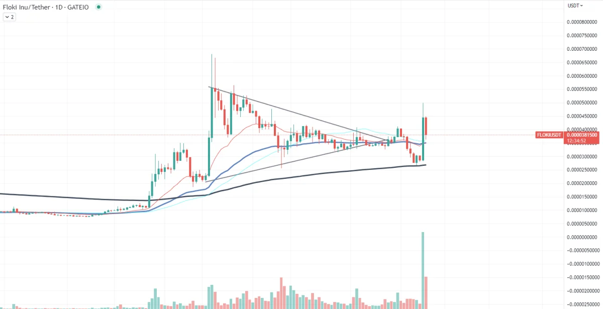 Ulaş Utku Bozdoğan: SHIB ve XRP Biriktiren Balinalar, Bu Coinleri Satıyor! 3