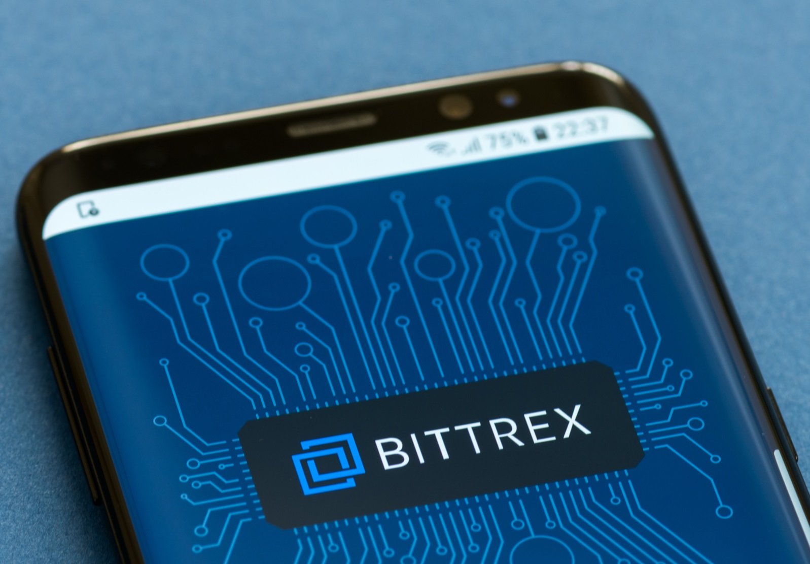 BTC Piyasası: Avukat, Bittrex’in Para Çekme Süreçlerini Açıkladı 1