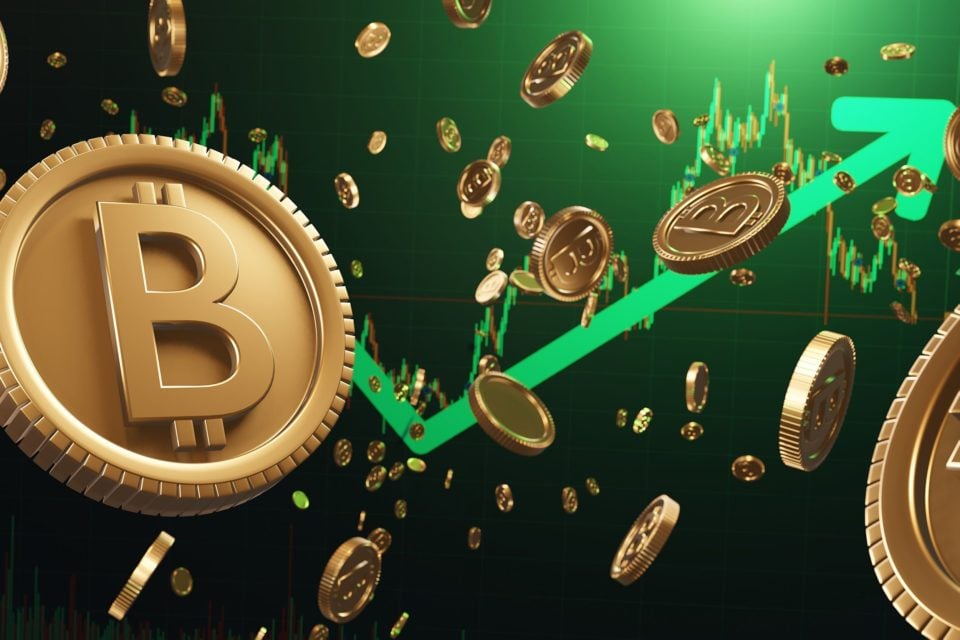 BTC Piyasası: Bitcoin’i Yasal Para Ünitesi Olarak Kabul Eden Ülkeler 1