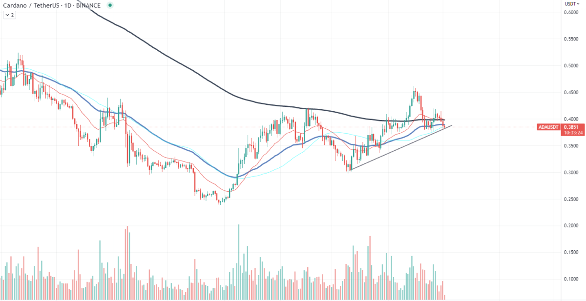 BTC Piyasası: Bu 4 Altcoin Yükseliş Trendine Girdi: Beklentiler Ne? 4