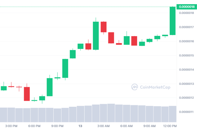 BTC Piyasası: DOGE Değil: Elon Musk Tweet’i, Bu Tanınan Meme Coin’i Uçurdu! 1