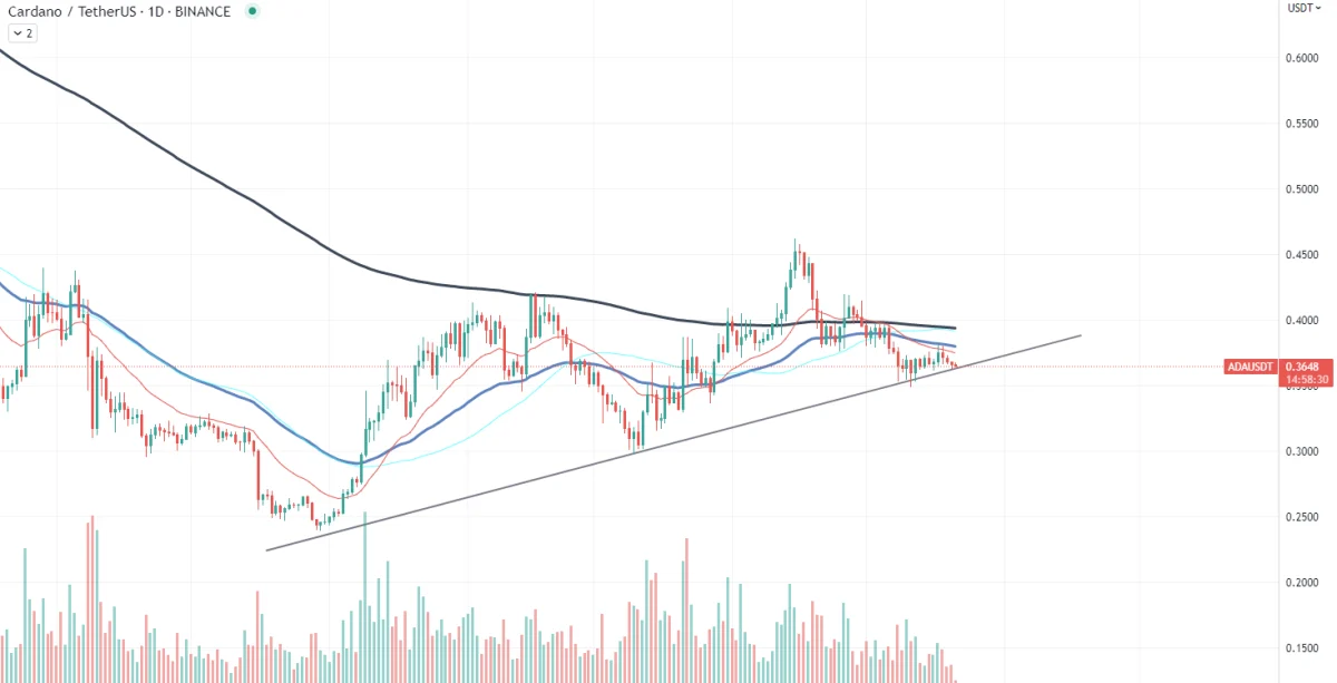 BTC Piyasası: Kurumsal Balinaların Radarında Bu 2 Altcoin Var! 1