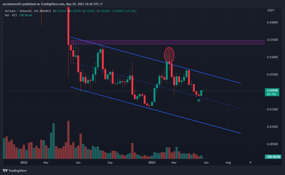 Ulaş Utku Bozdoğan: Long Fırsatı Sunan 6 Altcoin: Ralli Yapabilirler! 2