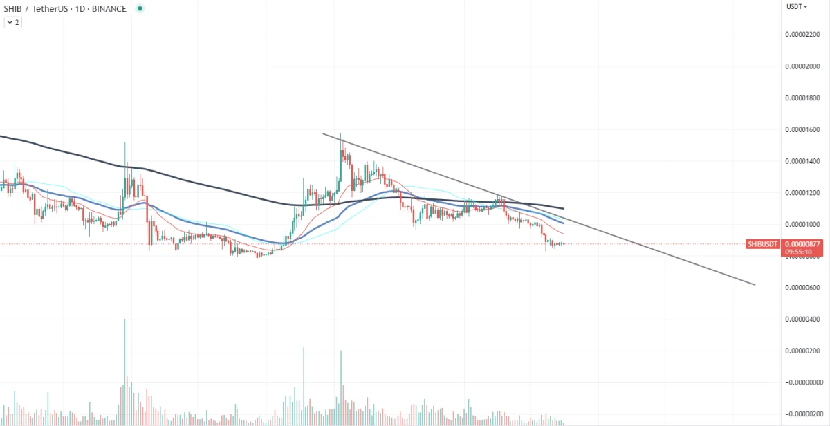 BTC Piyasası: SHIB İçin Death Line! Bu Dehşet Düzeylere Düşebilir! 1