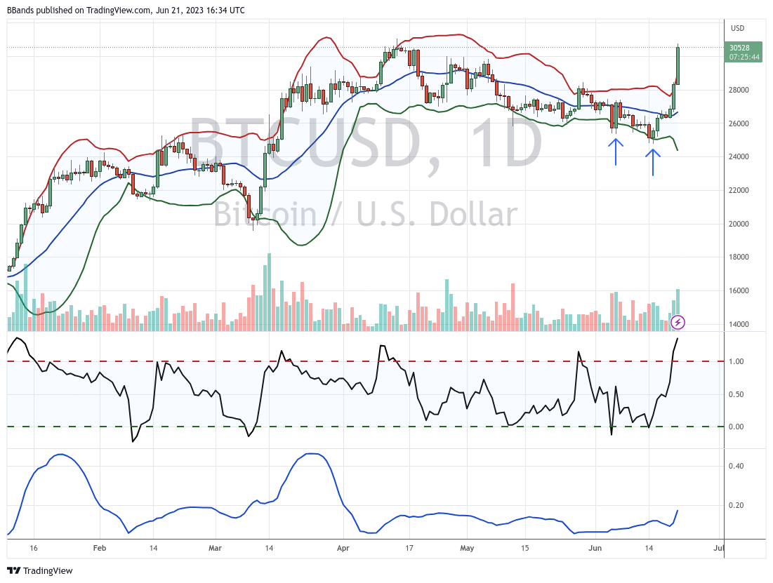 BTC Piyasası: 7 Bitcoin Analistinden 7 Varsayım: Bu Düzeylere Gidiyoruz! 3