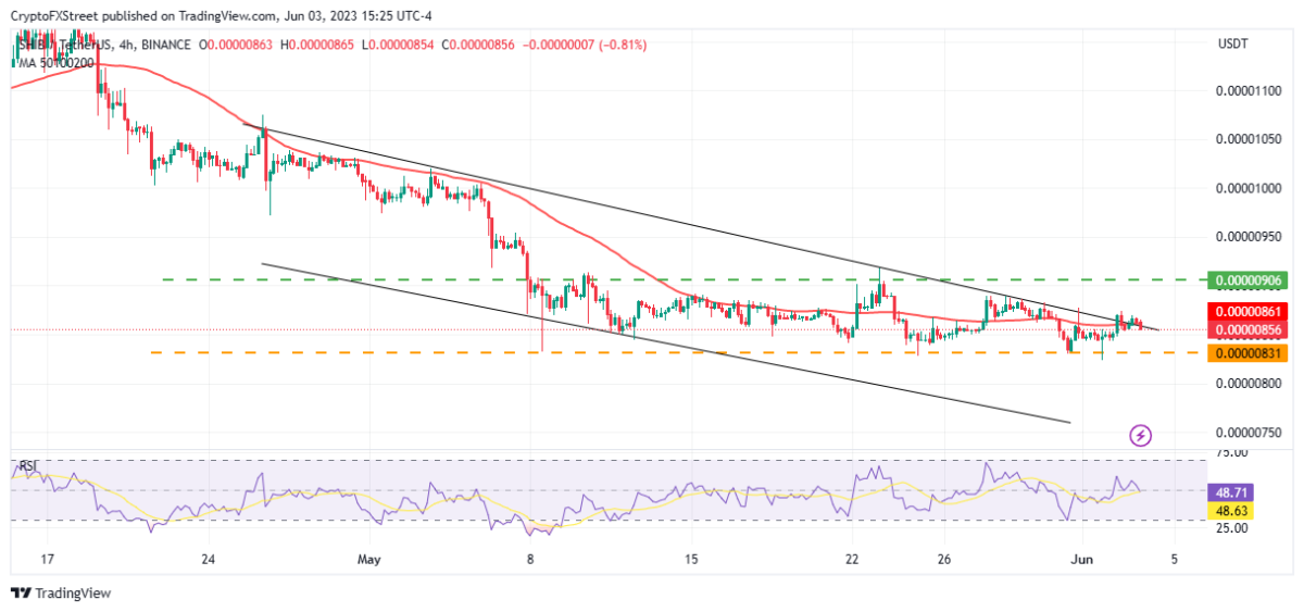 BTC Piyasası: Balinaların Süratle Biriktirdiği Bu 2 Altcoin İçin Ayı Paterni! 3