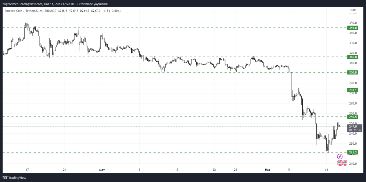 BTC Piyasası: Binance Coin Düşüşe Orta Verdi, Yükseliş Gelecek Mi? BNB Tahlili 1