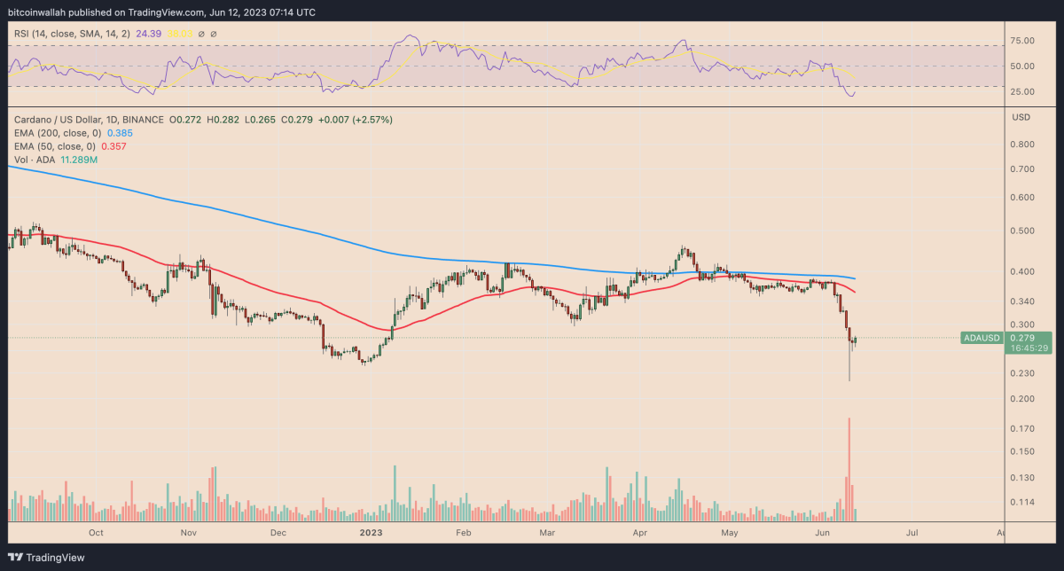 BTC Piyasası: FET, ADA, PEPE ve BNB: Bu Sayılara Hazır Olun! 2