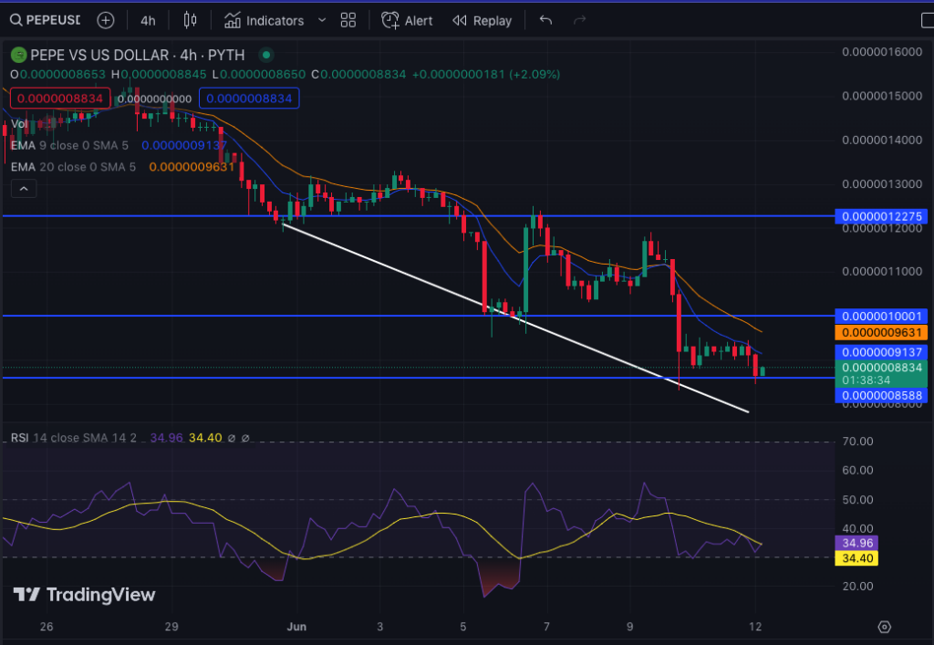 BTC Piyasası: FET, ADA, PEPE ve BNB: Bu Sayılara Hazır Olun! 4