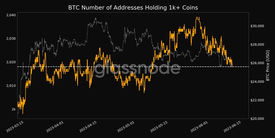 BTC Piyasası: Selloff Olabilir! Bu 4 Kripto Para Düşüş Alarmı Veriyor! 1