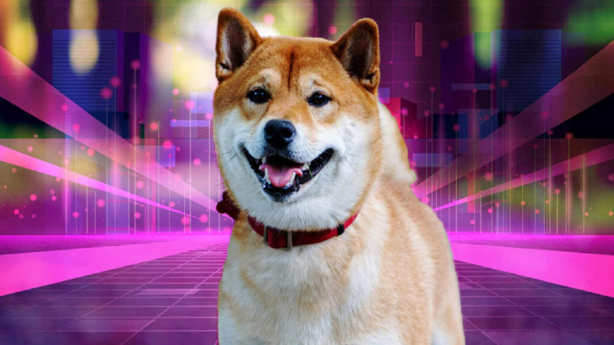 BTC Piyasası: Shiba Inu (SHIB) Yatırımcıları, Bugün Bu Değerli Gelişmeyi Bekliyor! 1