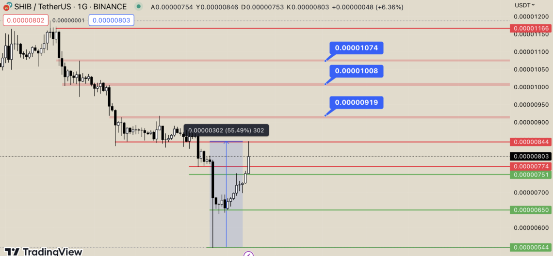 BTC Piyasası: Shiba Inu’nun (SHIB) Artışı Yüzde 50’yi Geçti 1