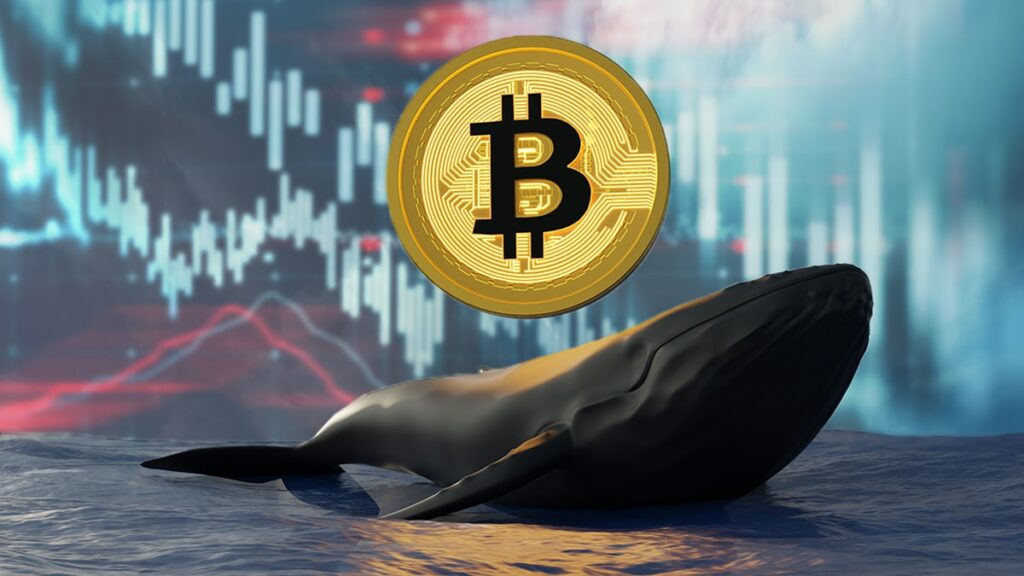 Ulaş Utku Bozdoğan: 7 Bitcoin Analisti Konuştu: Ağustos’ta Bu Rakamlardayız! 1