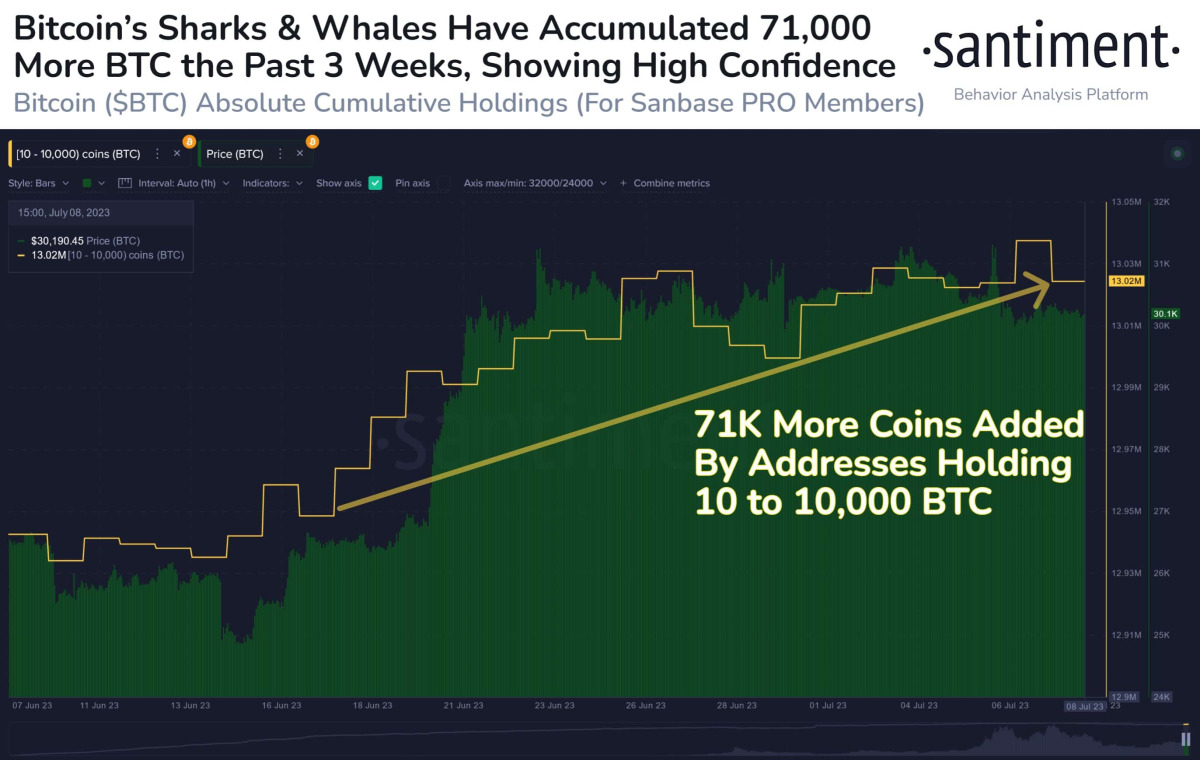 BTC Piyasası: Bu 6 Bitcoin İddiasına Dikkat: O Sayılar Görülebilir! 1