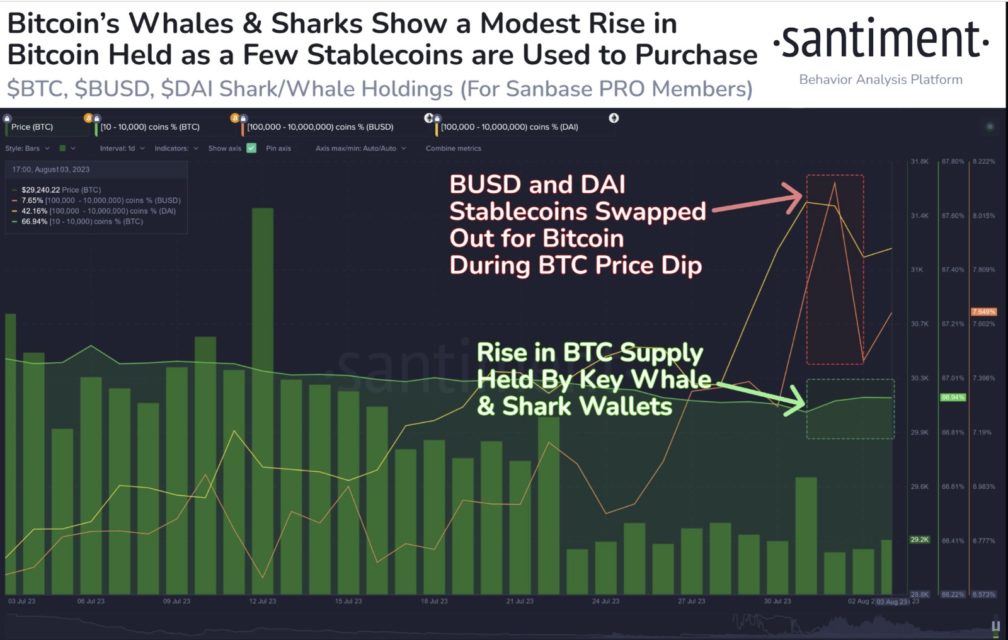 BTC Piyasası: Bitcoin balinaları çöküş senaryosuna mı hazırlanıyor? 5