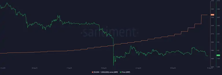 BTC Piyasası: Analist: XRP Fiyatı Yavaşlıyor! Eylül’de Bunlara Dikkat 2