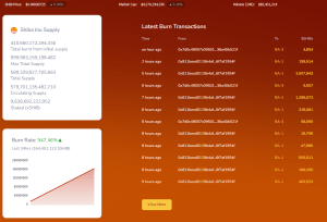 BTC Piyasası: Shiba Inu Bir Gecede Canlandı: Yüzde 1.000 Yaptı! 1