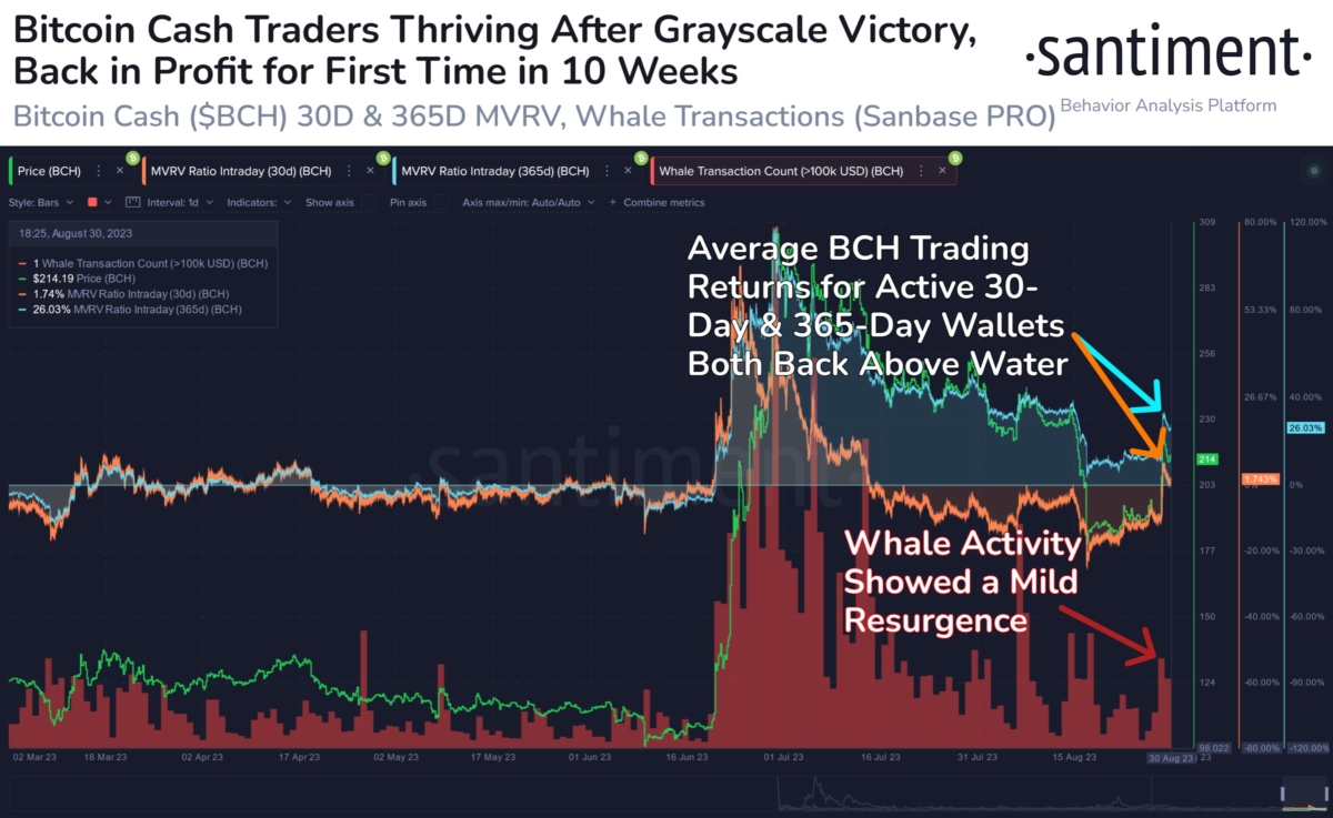 BTC Piyasası: Usta Analistler Belirledi: Tarih, Bu Altcoin İçin Ralli Öneriyor! 3