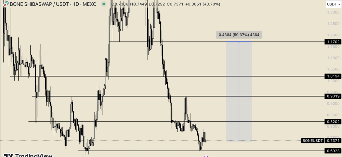 BTC Piyasası: Bone ShibaSwap (BONE) için hareketli saatler başladı! 1