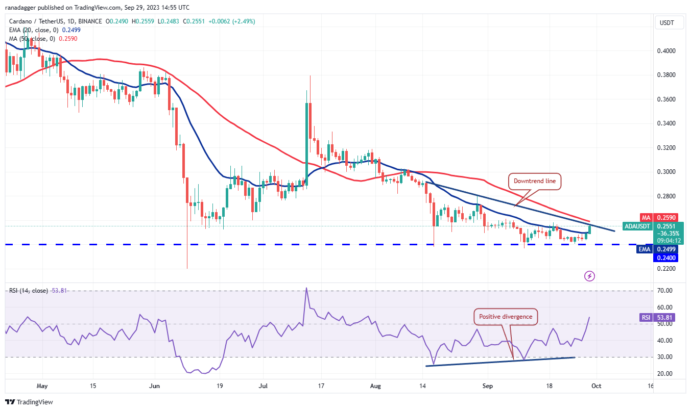 BTC Piyasası: DOGE, XRP, SOL, ADA ve Bu 6 Coin İçin Al-Sat Seviyeleri! 6