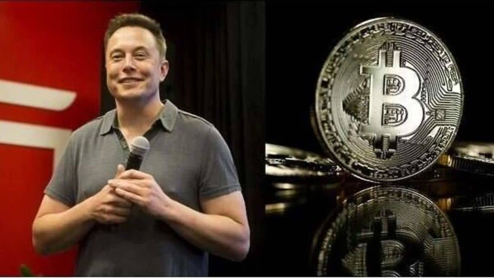 BTC Piyasası: Elon Musk Hareketsiz! Şirketlerin Bitcoin Varlığı Göz Kamaştırıyor 1