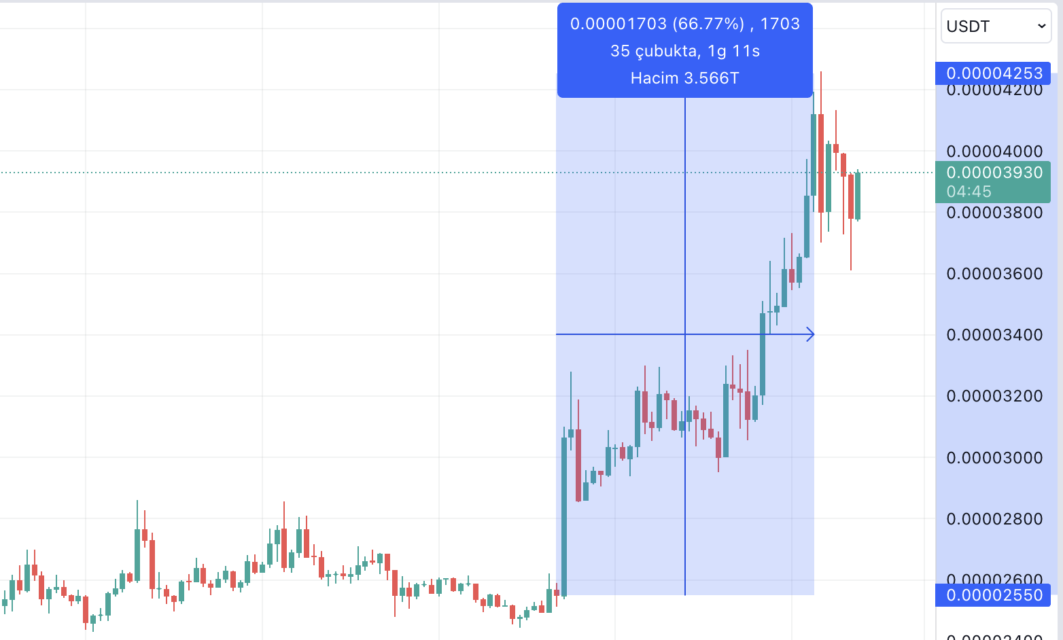 BTC Piyasası: Floki (FLOKI) yeni bir kripto para çıkarıyor: Tepeye yerleşti! 1