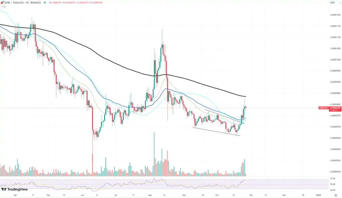 BTC Piyasası: SHIB Fiyatı Artarken Balinalar Harekete Geçti! Neler Oluyor? 1