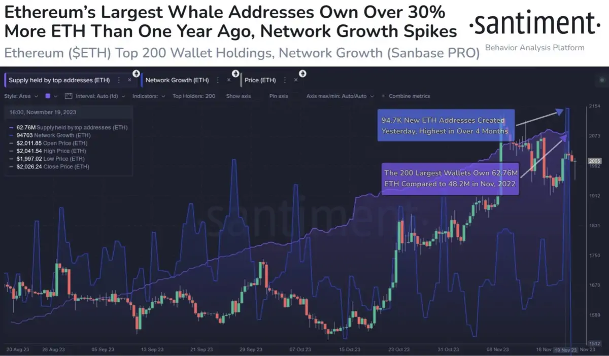 BTC Piyasası: Balinaları Agresif Biriktiriyor: Bu Altcoin İçin Sinyaller Yandı! 1