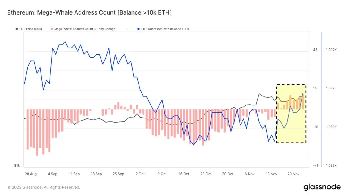 BTC Piyasası: Balinaları Agresif Biriktiriyor: Bu Altcoin İçin Sinyaller Yandı! 2