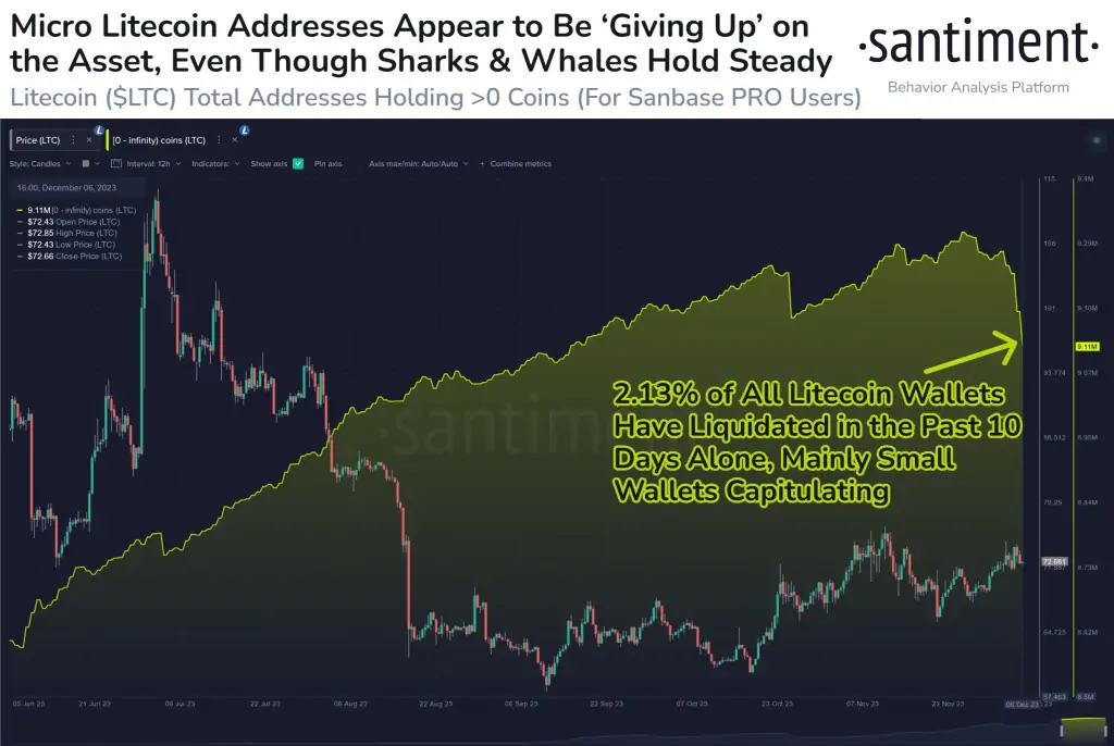 BTC Piyasası: Santiment Bu Altcoin İçin Kırmızı Alarm Verdi: Büyük Tasfiye! 1