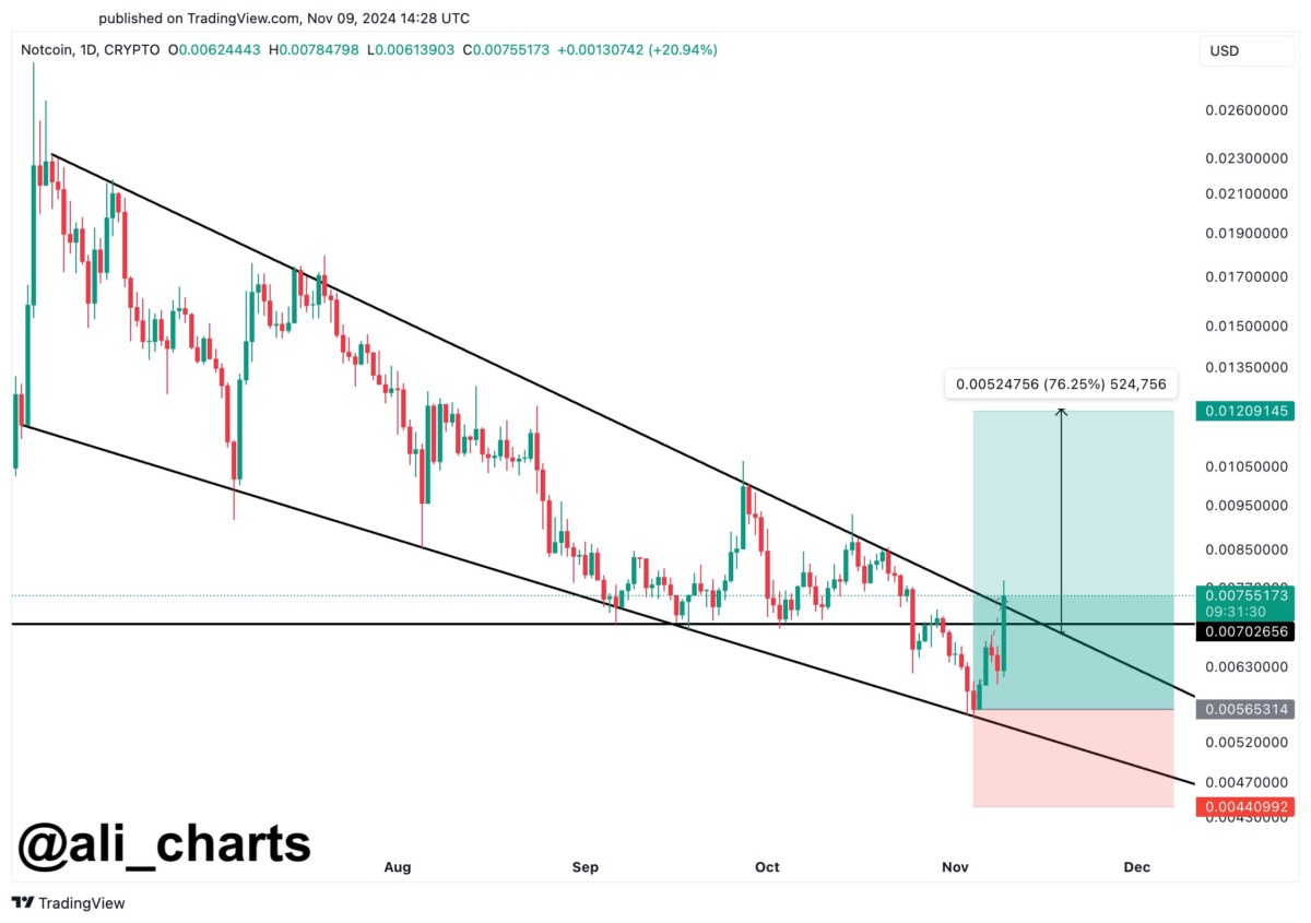 Martinez'den NOT Altcoin İçin Beklentiler