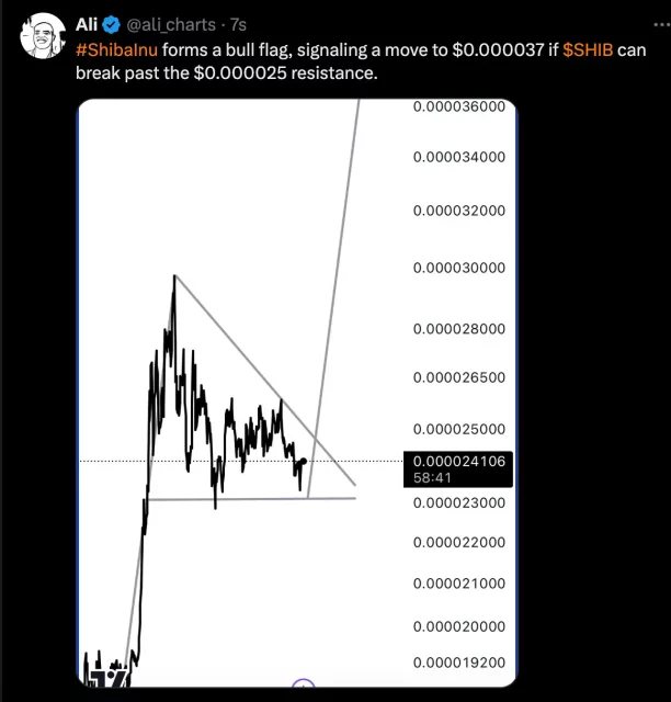 Bull Flag Formasyonu SHIB İçin Ralli İşaret Ediyor