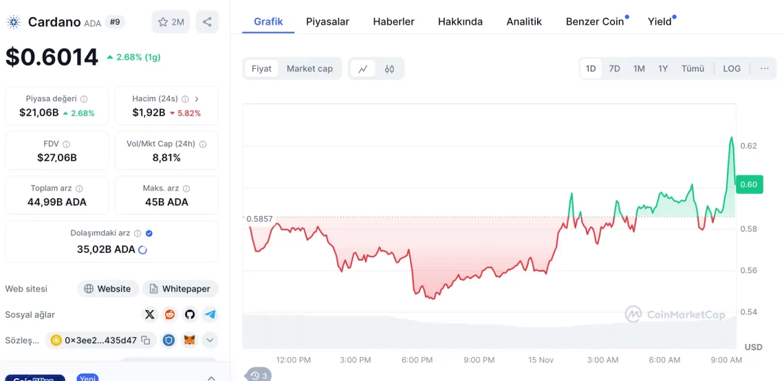 Bitcoin Düşerken Altcoin Piyasasındaki Yükselişler