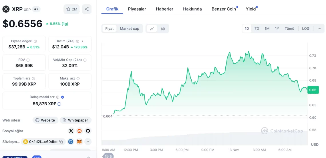 Bitcoin Gerilerken Yükselen Altcoin'ler: BONK, XLM, XRP ve Daha Fazlası