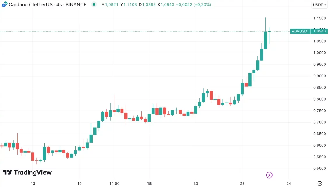 Bitcoin’in Yükselişi ve Majör Altcoin'lerdeki Hareketlilik