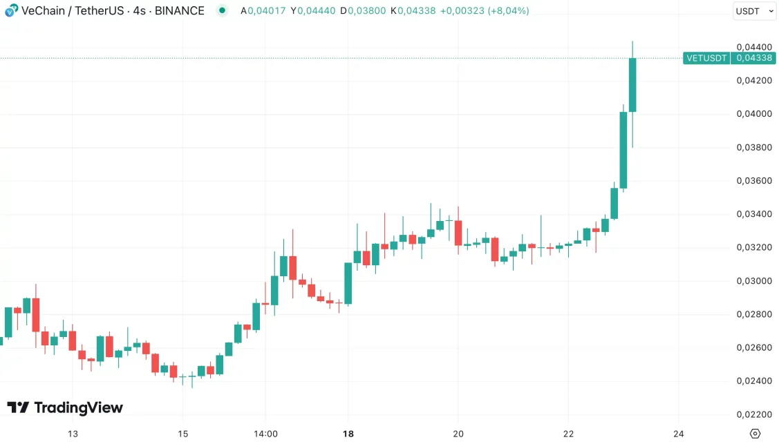 Bitcoin’in Yükselişi ve Majör Altcoin'lerdeki Hareketlilik