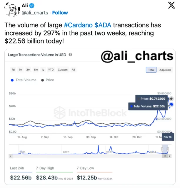 Cardano (ADA) Yükselişi ve Gelecek Beklentileri