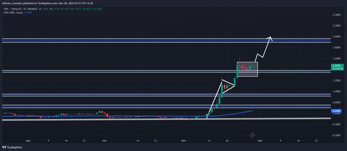 XRP Balina Hareketleri ve Piyasa Analizi