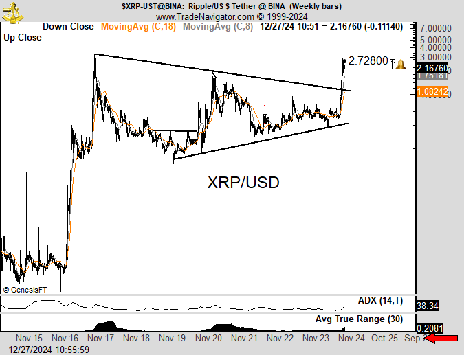 2024 Kripto Para Piyasasında XRP Coin'in Rolü