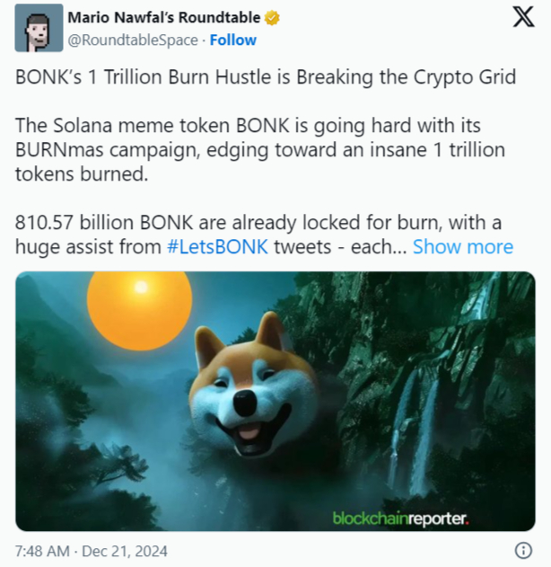 BONK: Meme Coin Piyasasında Yükseliş