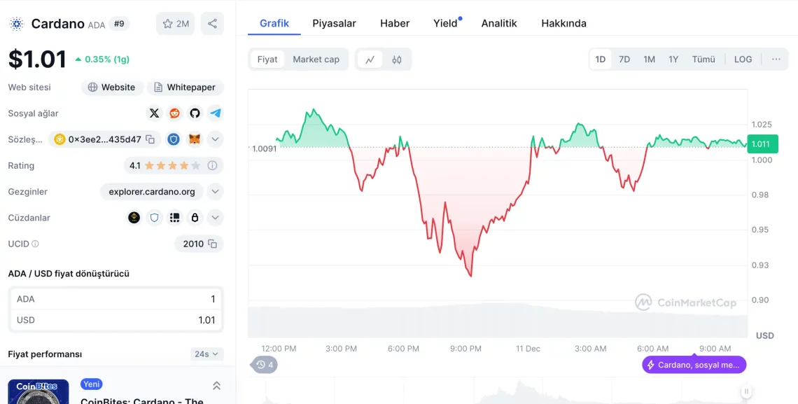 Cardano (ADA) ve Piyasa Dinamikleri