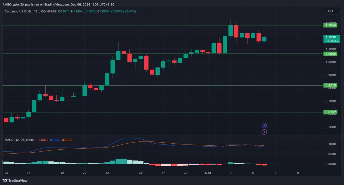 Cardano (ADA) İlgi Görmeye Devam Ediyor