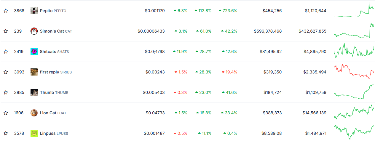 CAT Coin Zirveye Ulaştı