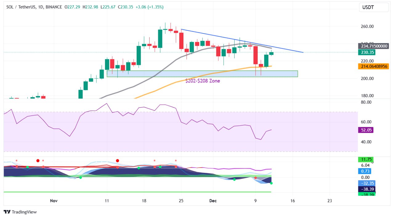 Kripto Para Piyasasında Bitcoin ve Solana Üzerine Analizler