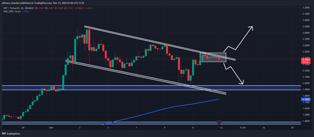 XRP Balina Hareketleri ve Piyasa Üzerindeki Etkileri